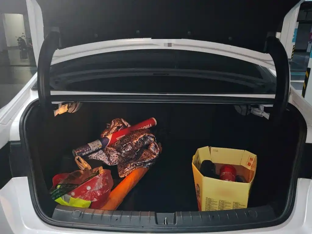 BYD Qin Pro — миниатюра 15