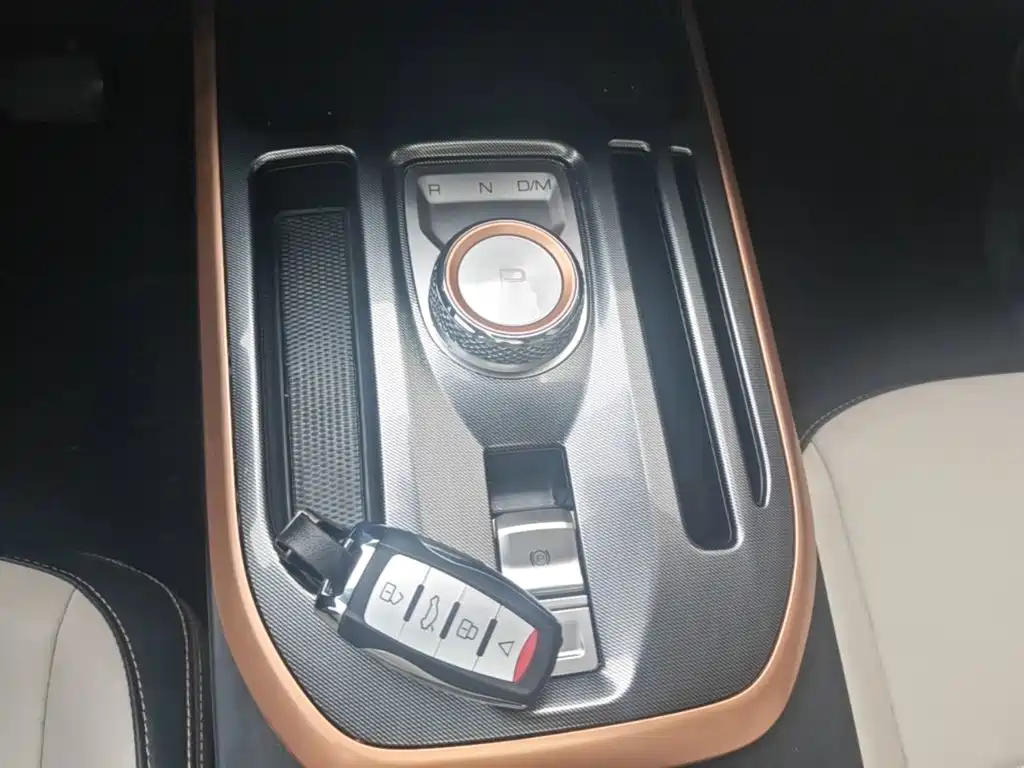 Haval Chulian — миниатюра 14