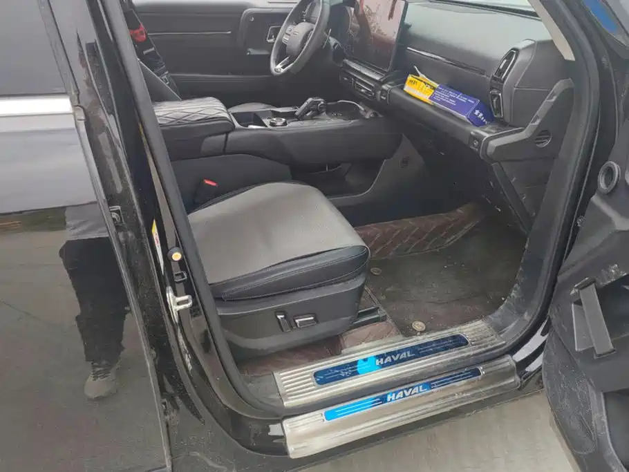 Haval Big Dog PLUS — миниатюра 8