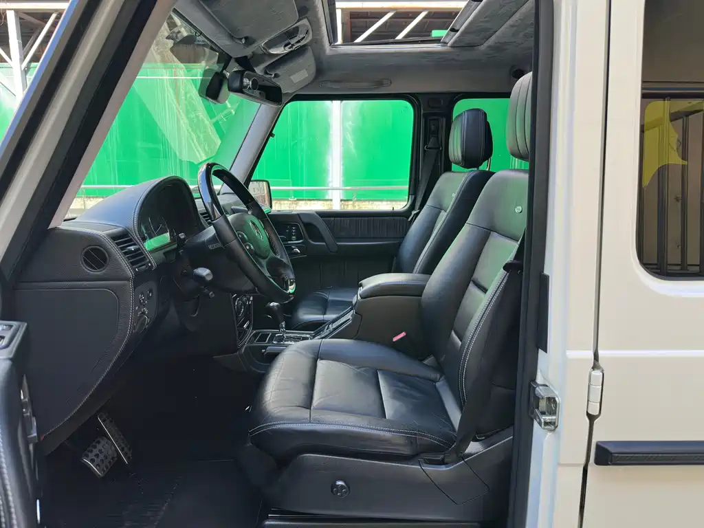 Mercedes-Benz G-Class G 2010 G 500
