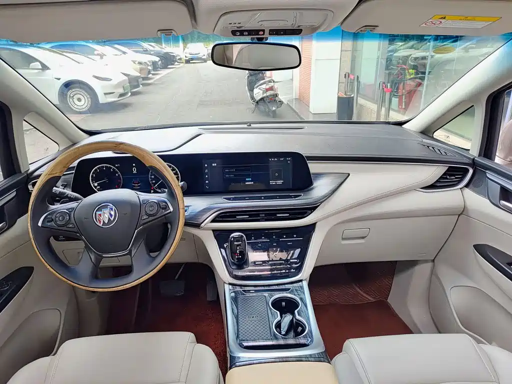 Buick GL8 ES LandKing 653T Comfort Type, фото 10