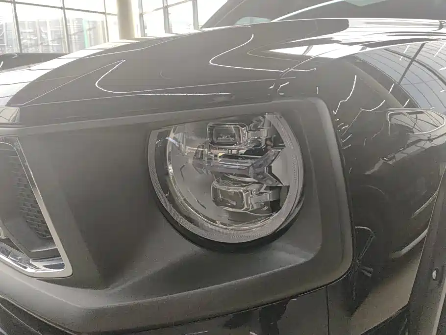 Haval Big Dog PLUS — миниатюра 5