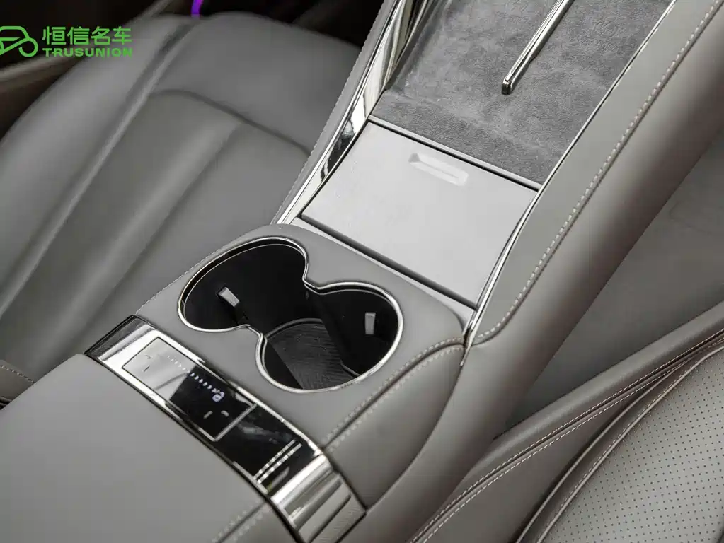 Denza Denza Z9 — миниатюра 19