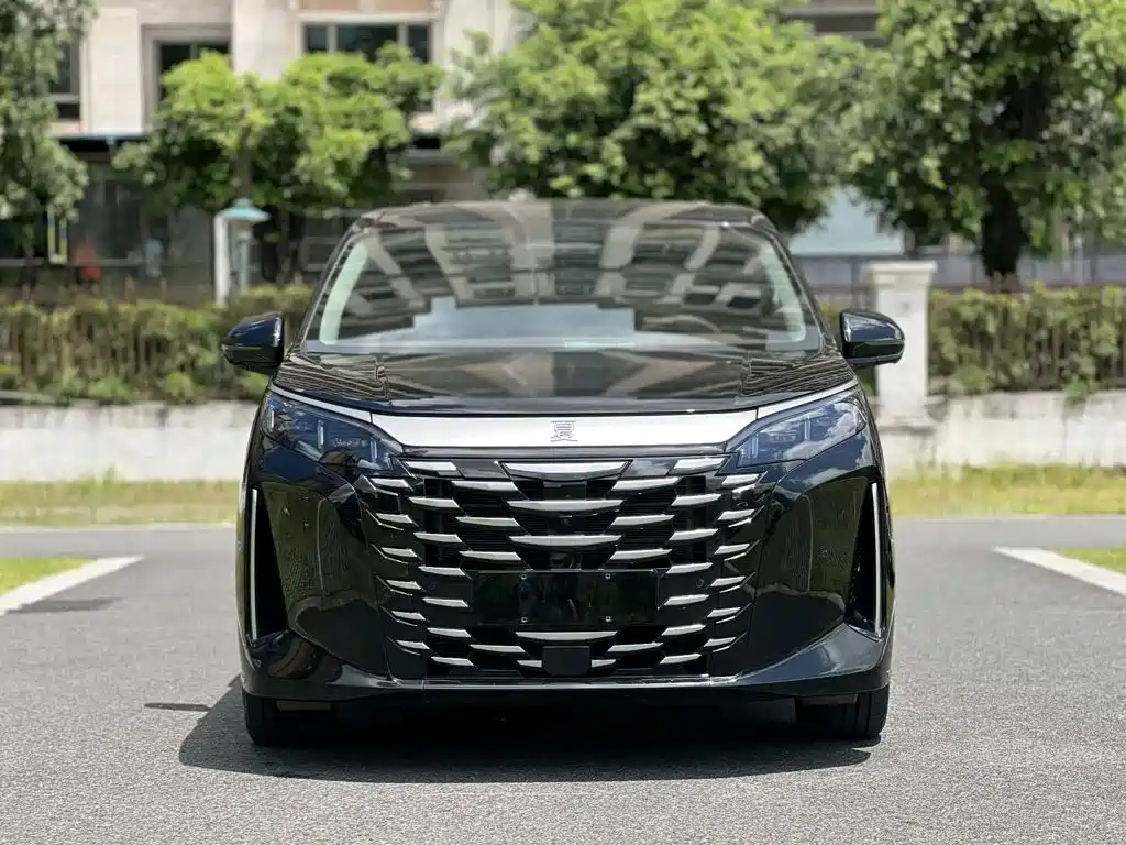 BYD Xia — миниатюра 2