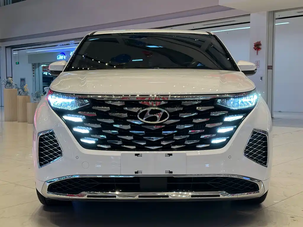 Hyundai Custo — миниатюра 2