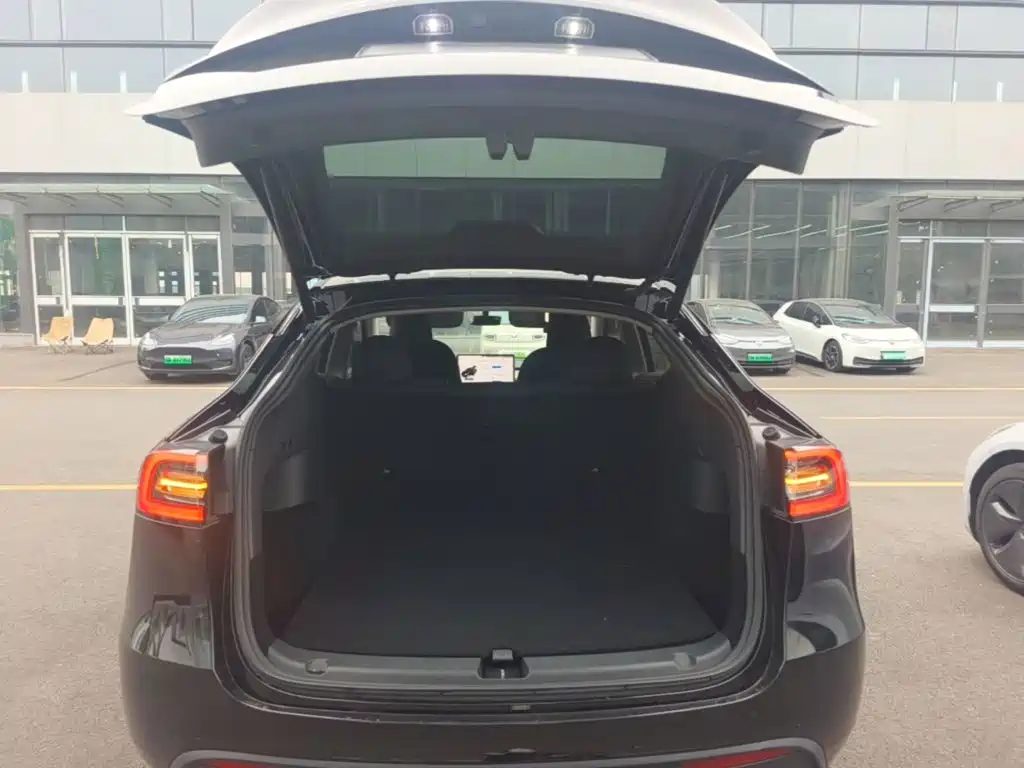 Tesla Model Y — миниатюра 19