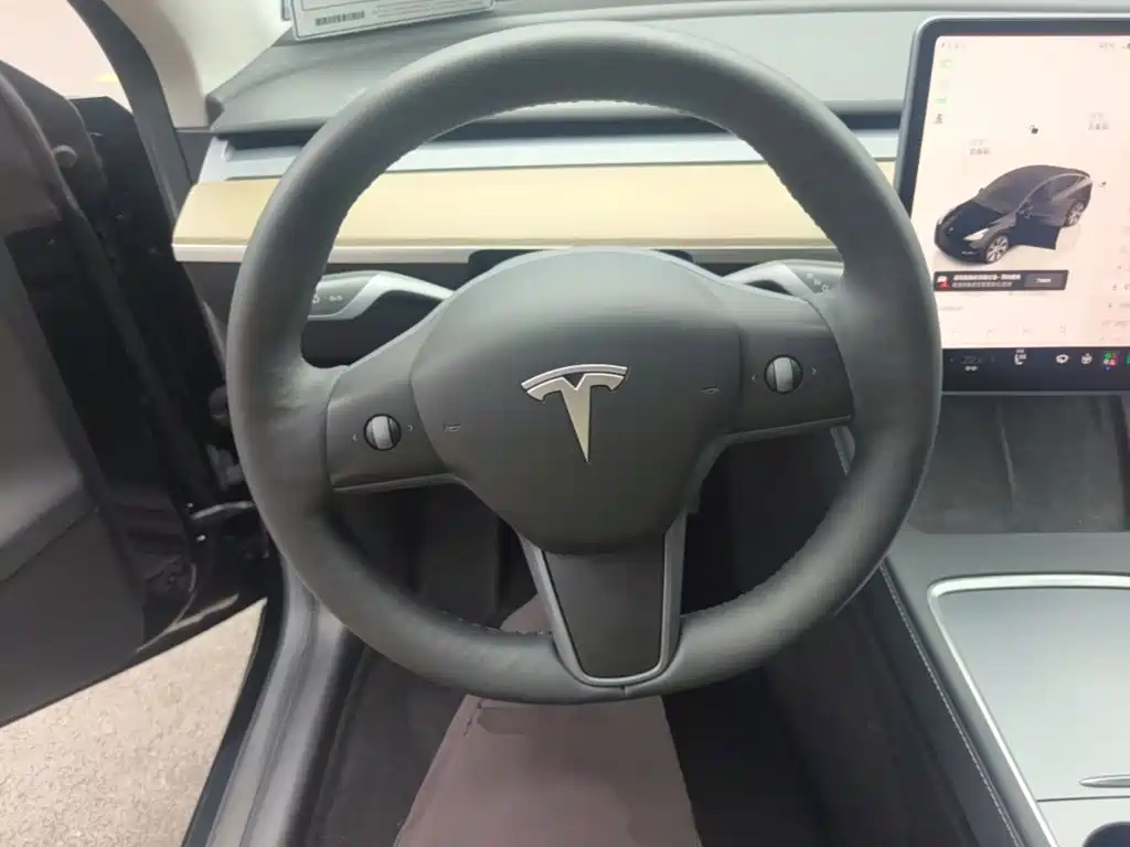 Tesla Model Y — миниатюра 11