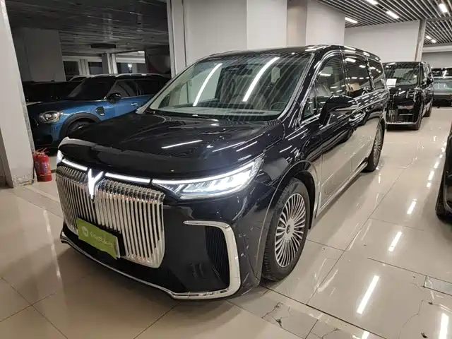 2024 Voyah Dream