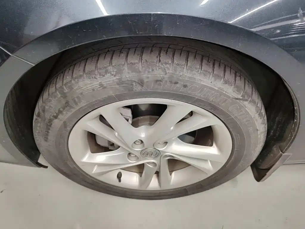 Buick Regal — миниатюра 23