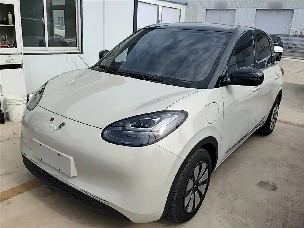 Wuling Bingo 2024