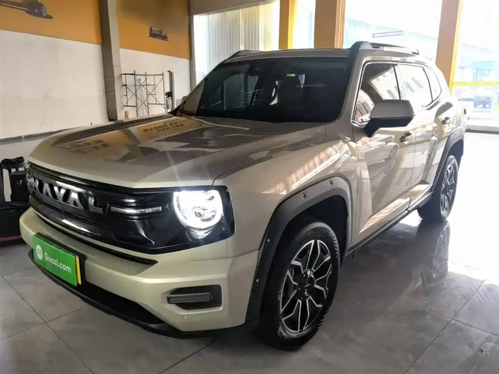 Haval 哈弗大狗 PLUS 新能源 2025