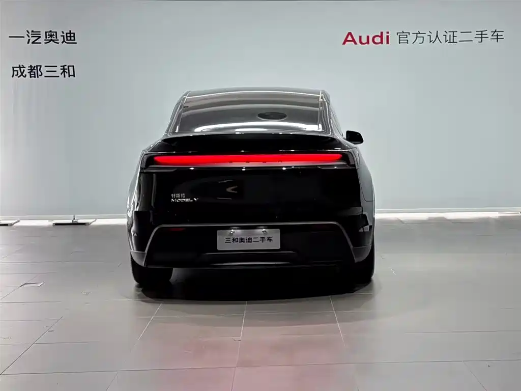 Tesla Model Y — миниатюра 5
