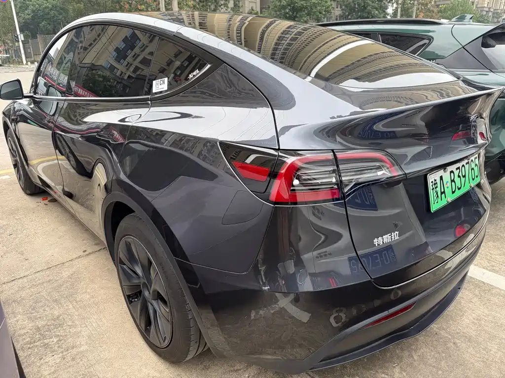 Tesla Model Y — миниатюра 7
