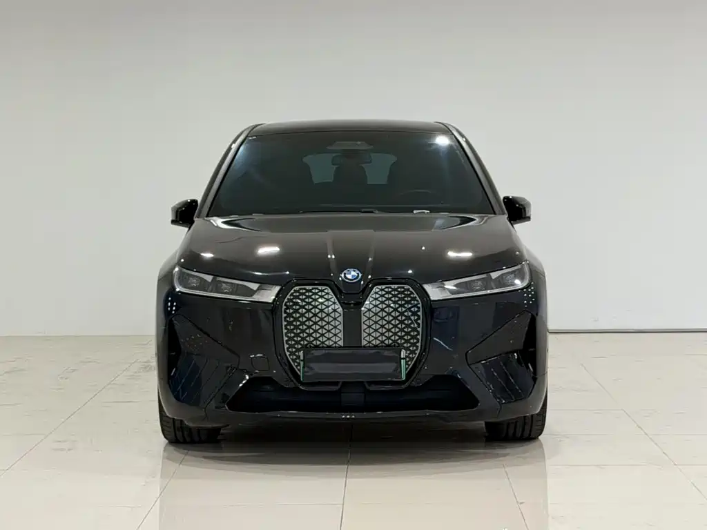 BMW iX — миниатюра 2