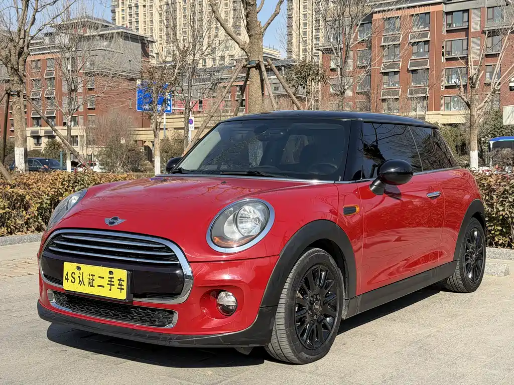 Mini Mini 2018