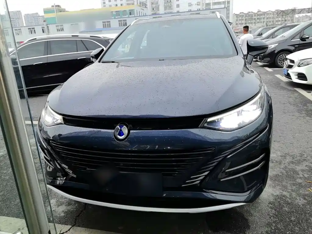 Denza Denza N8 — миниатюра 3