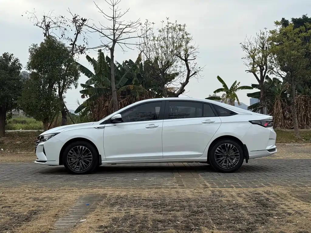 DONGFENG YI HYUN MAX