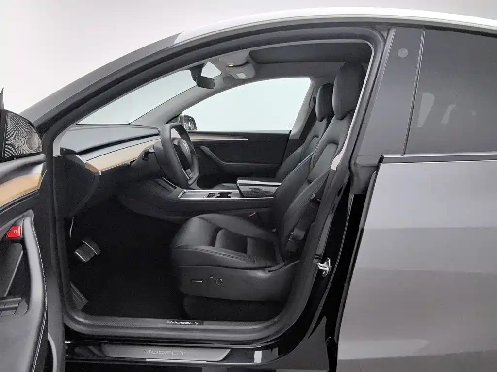 Tesla Model Y — миниатюра 10