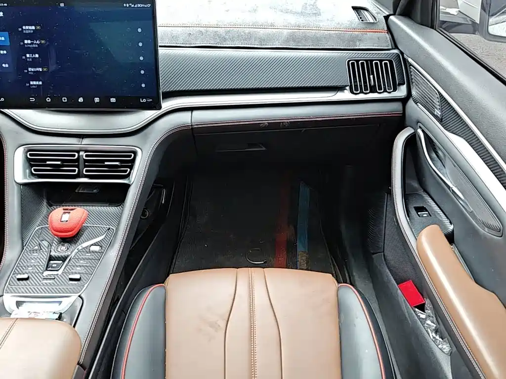 BYD PLUS — миниатюра 10