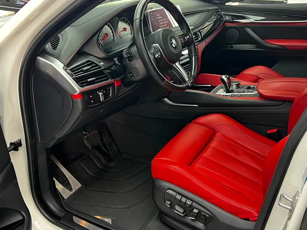 BMW X6 M X6 M, фото 13
