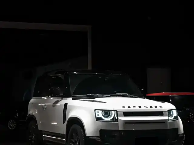 Land Rover Defender — фото 1