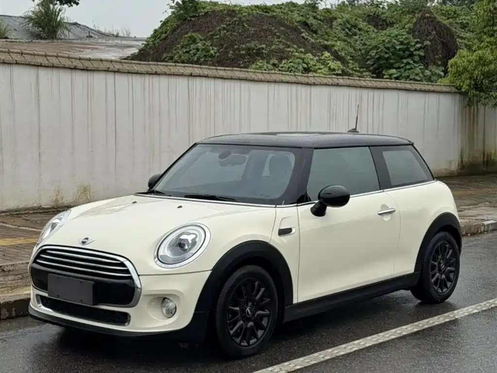 Mini Mini 2016