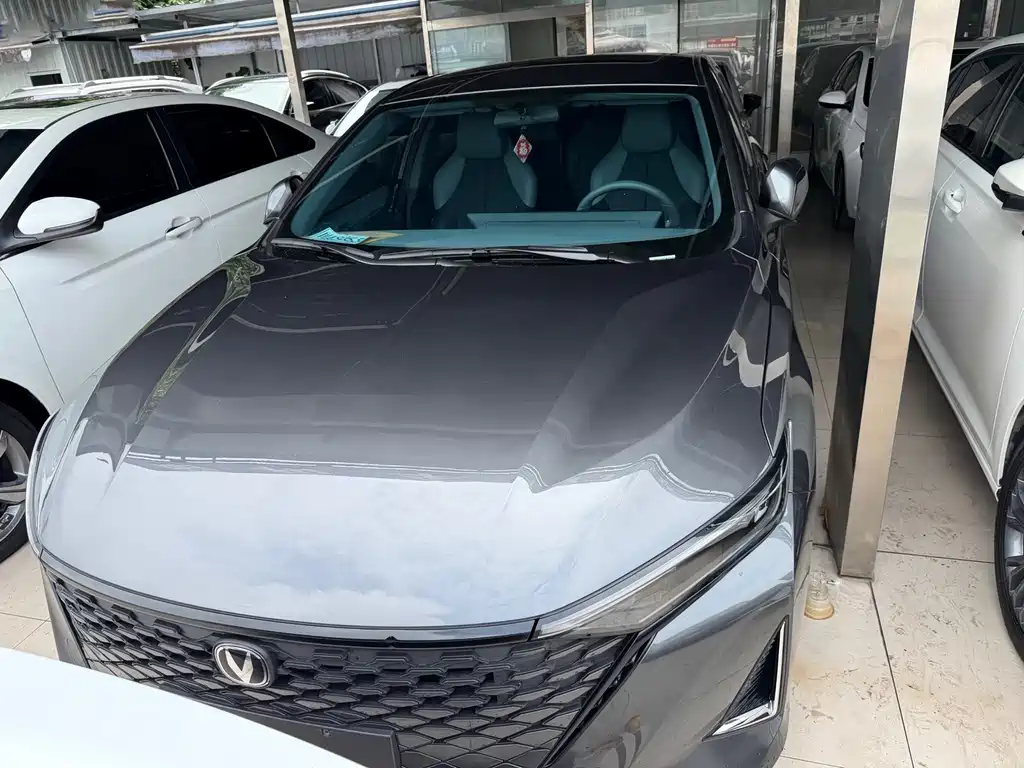 Changan Ruicheng PLUS — миниатюра 2