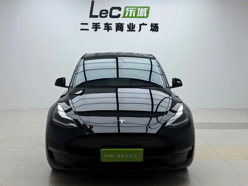Tesla Model Y — миниатюра 3