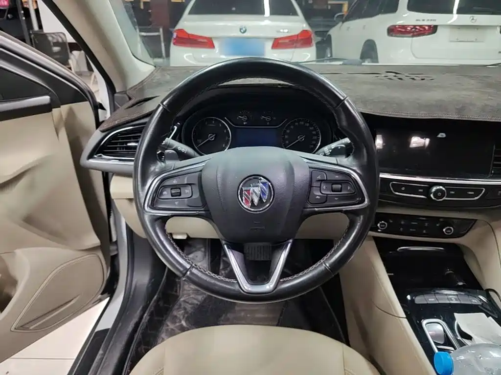 Buick Regal — миниатюра 11