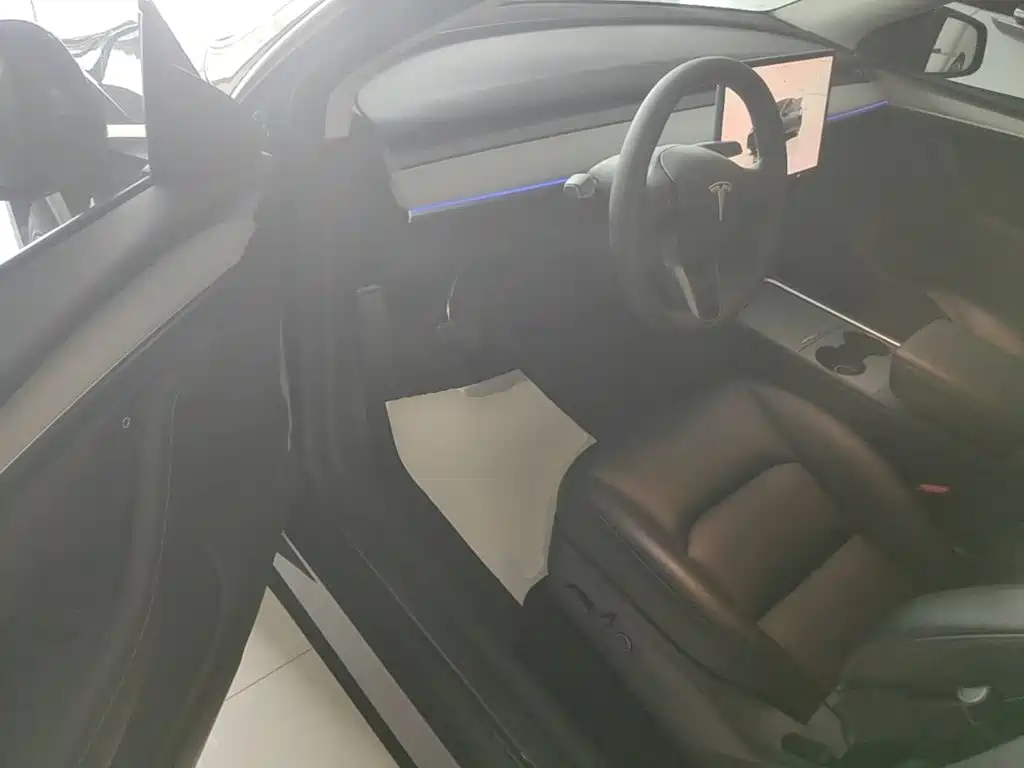 Tesla Model Y — миниатюра 16