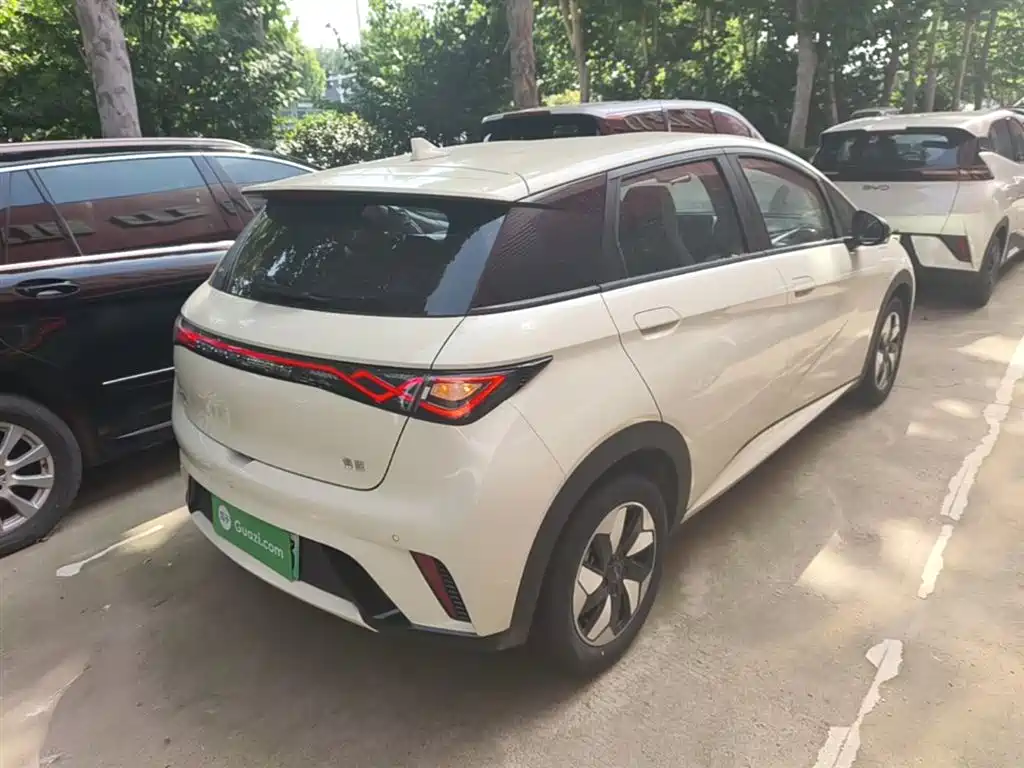 BYD Dolphin 2025 420km Freedom