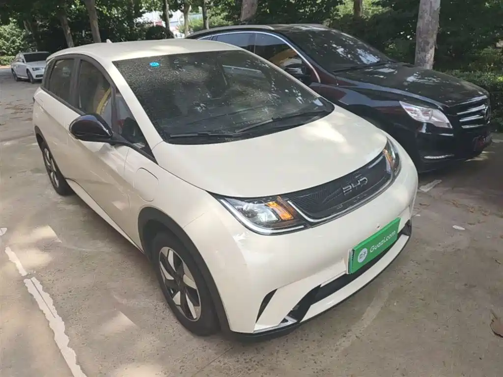 BYD Dolphin 2025 420km Freedom