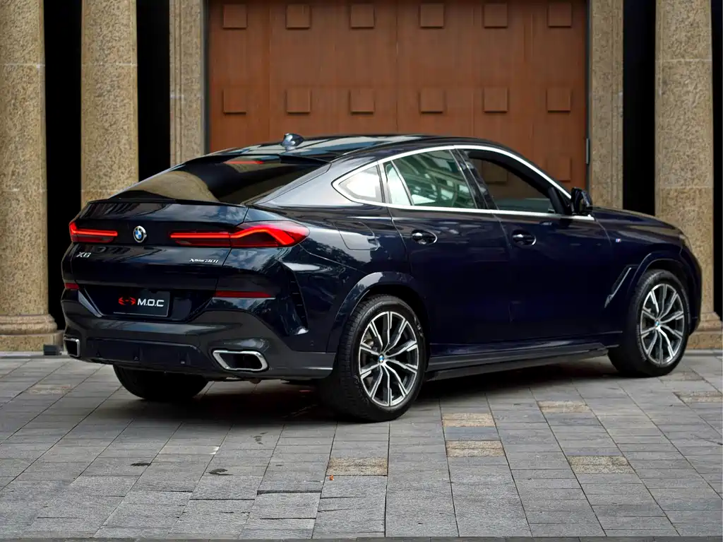 BMW X6 2021 xDrive30i M Sport