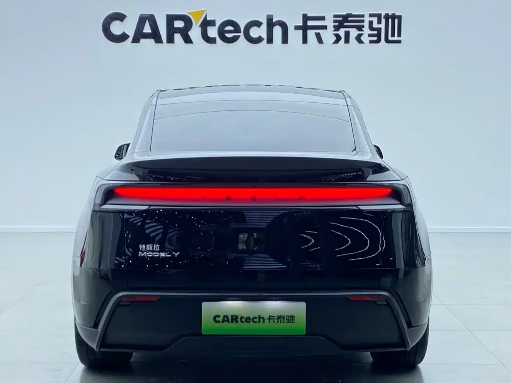 Tesla Model Y — миниатюра 4