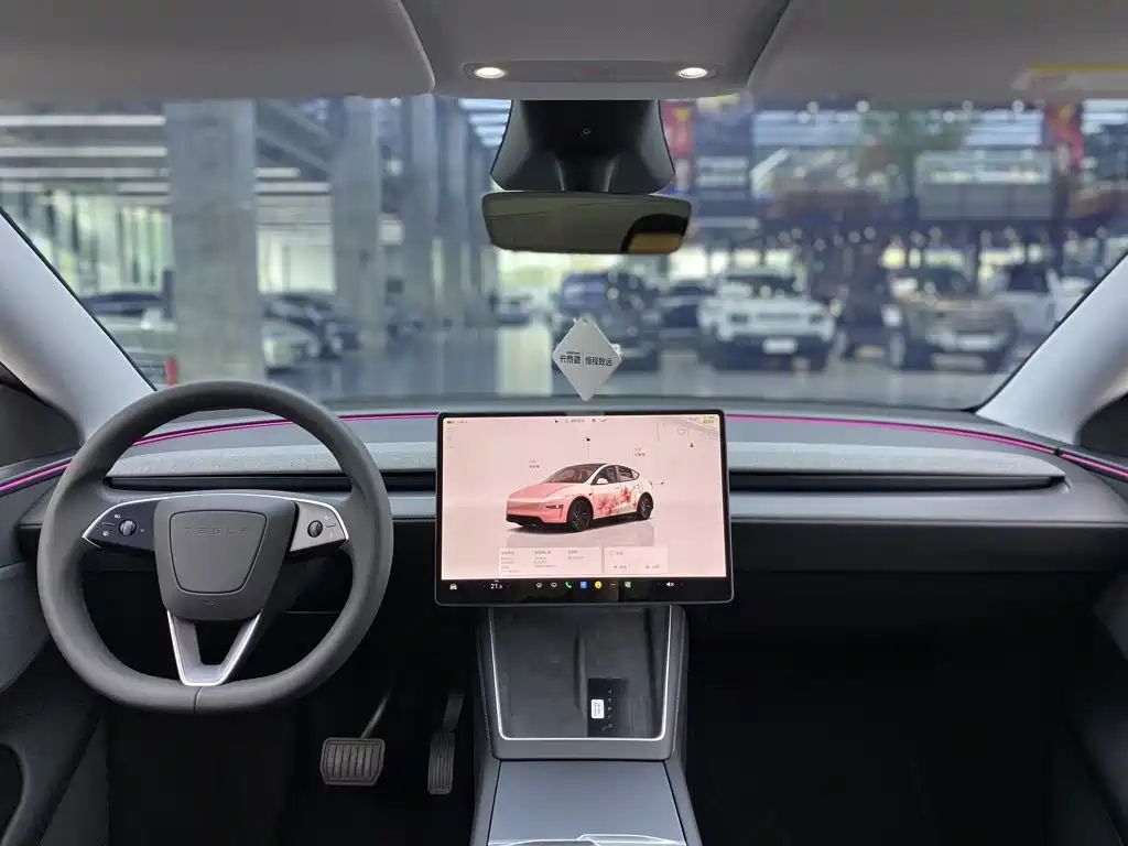 Tesla Model Y — миниатюра 15