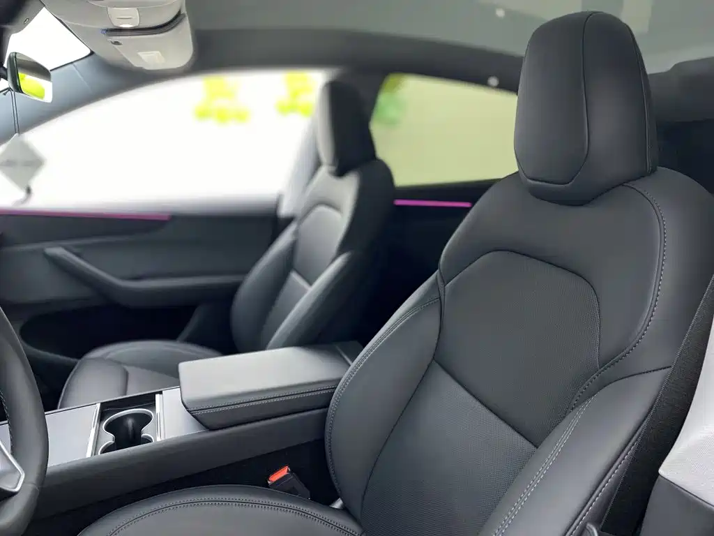 Tesla Model Y — миниатюра 19