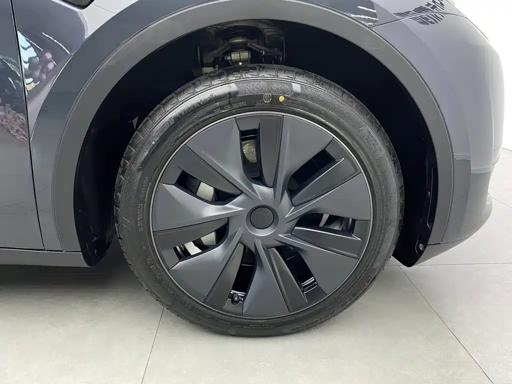 Tesla Model Y — миниатюра 7