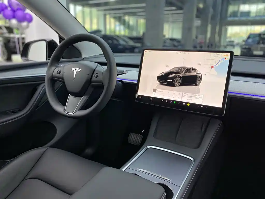 Tesla Model Y — миниатюра 32