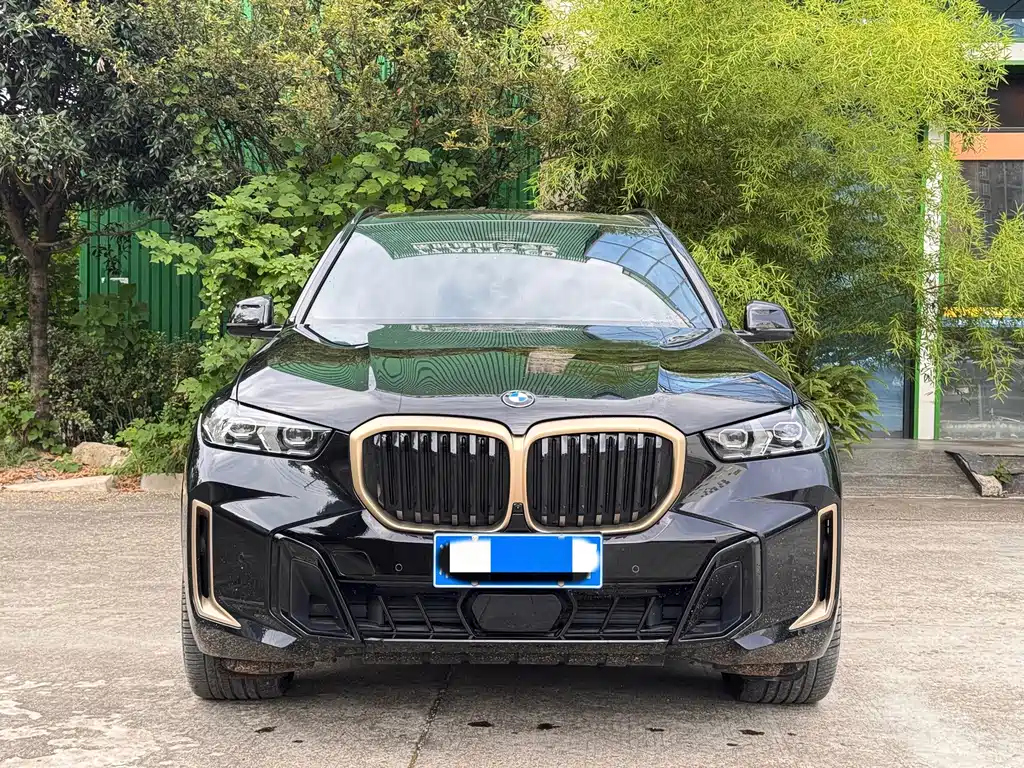 BMW X5 — миниатюра 2