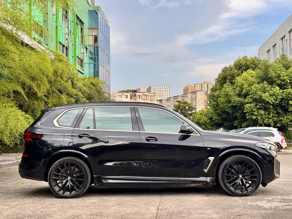 BMW X5 — миниатюра 3