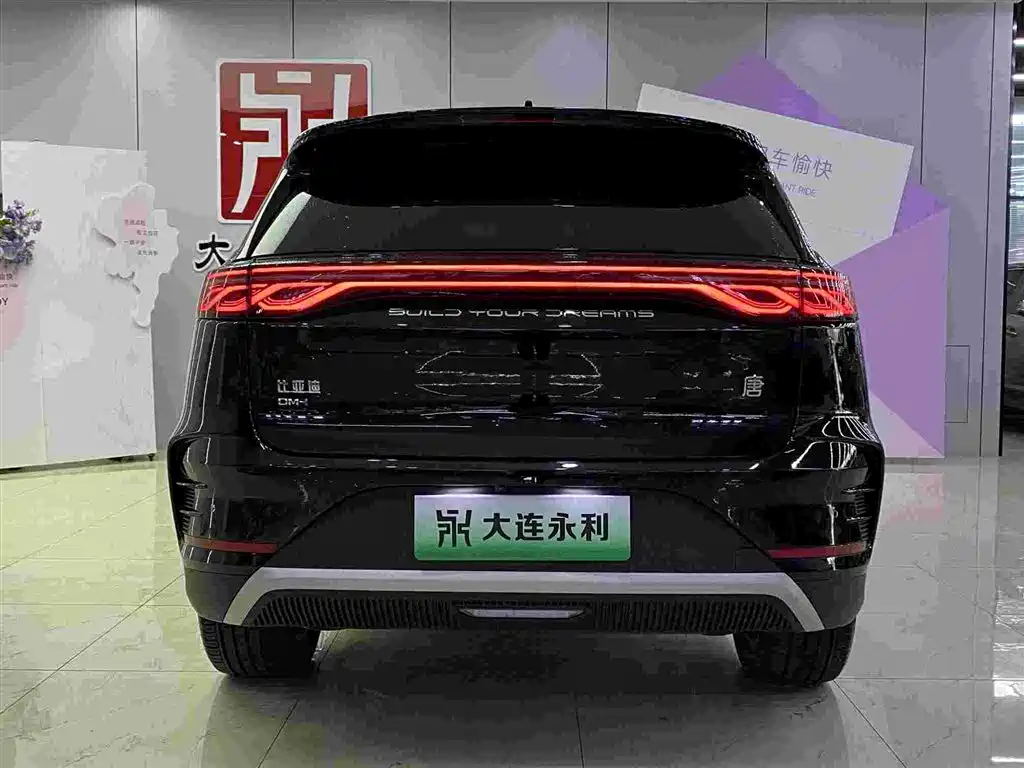 BYD Tang New Energy — миниатюра 14
