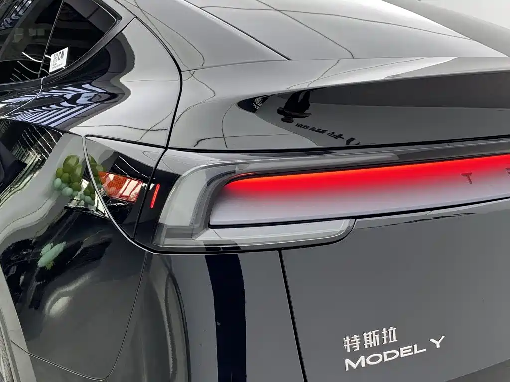Tesla Model Y — миниатюра 6