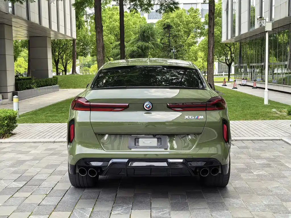 BMW X6 M — миниатюра 49
