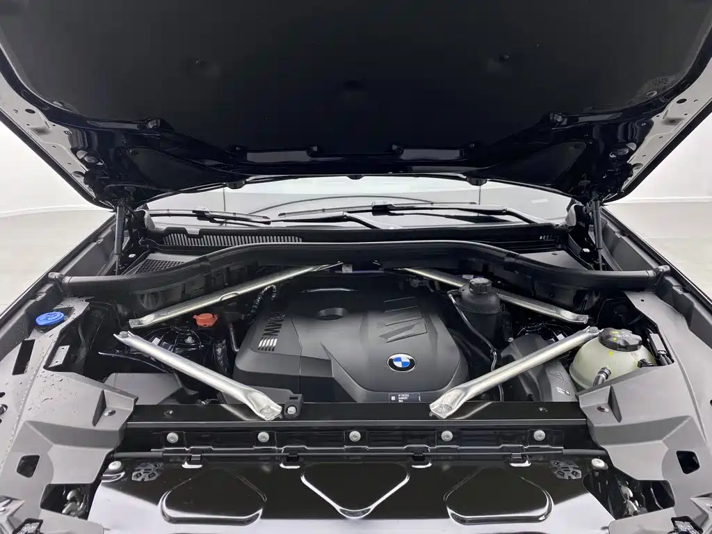 BMW X5 — миниатюра 9
