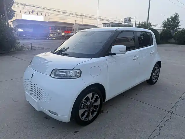 2021 Ora R2/White Cat