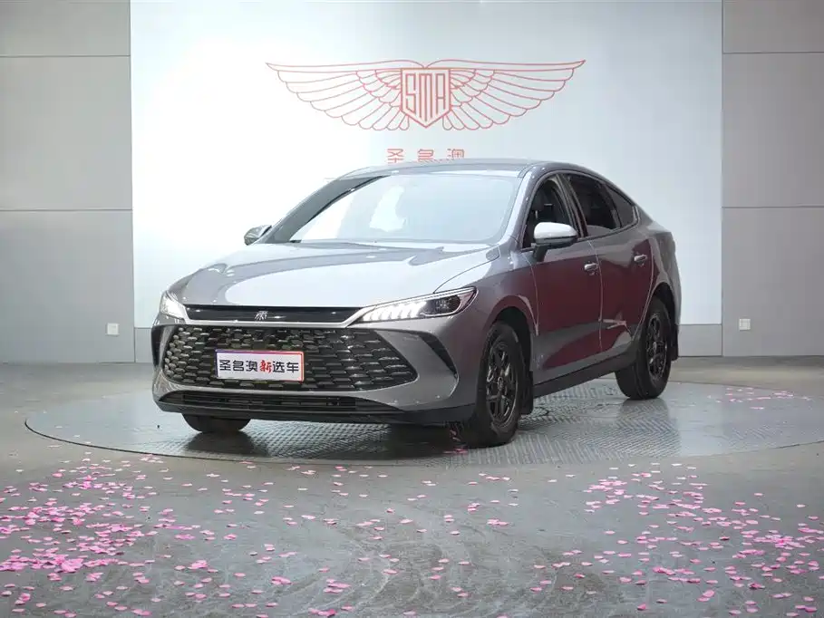 Byd Qin PLUS 2025