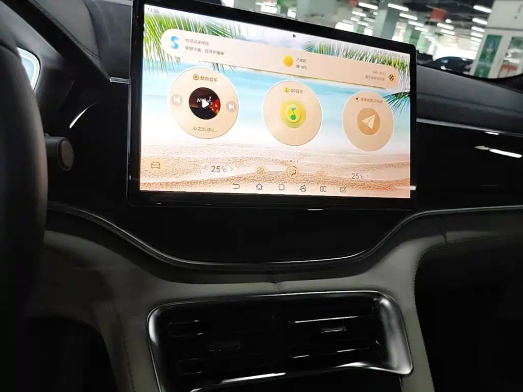 BYD PLUS New Energy — миниатюра 13