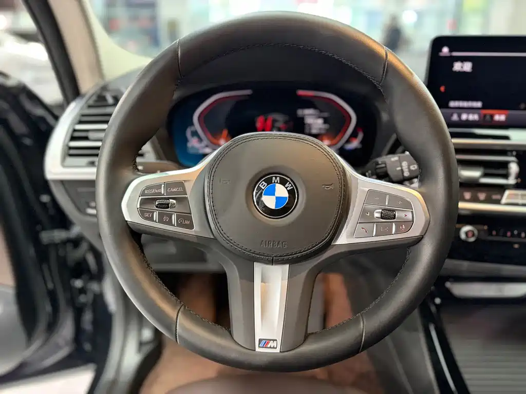 BMW X3 — миниатюра 8