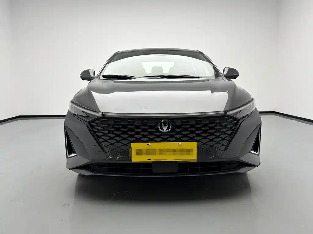 Changan Ruicheng PLUS — миниатюра 2