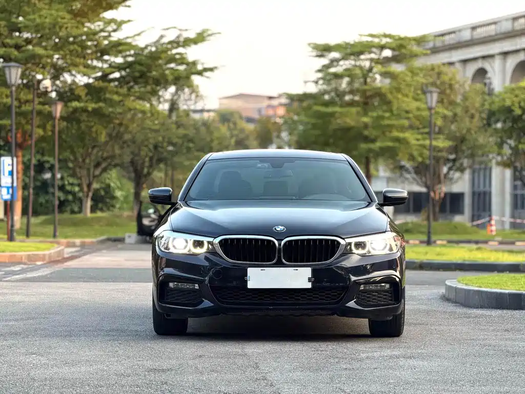 BMW 5 Series — миниатюра 2